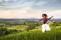 Bali Waterfall Wonders | A Nature Escape | All Inclusive