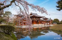 Matcha Grinding Experience and Walking Tour in Uji Kyoto