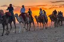 Bahariya Oasis and White Desert A Private Day Adventure in Cairo