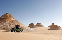 Bahariya Oasis and White Desert A Private Day Adventure in Cairo