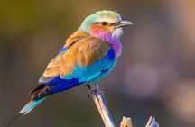 4 Days Mikumi and Nyerere National Park Private Tour