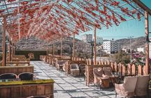  Tour from Jeddah to Taif Explore the City of Roses