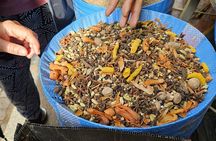 Tangier Tasting Food and Walking Tour From the Cruise ship