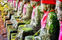 Nikko Private Day Tour with English Speaking Driver From Tokyo