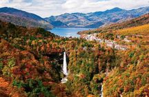 Nikko Private Day Tour with English Speaking Driver From Tokyo