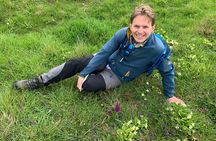 Foraging walk for beginners