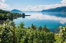 Guided tour - Hardangerfjord, Voss Gondola & 3 Great Waterfalls