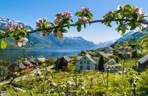 Guided tour - Hardangerfjord, Voss Gondola & 3 Great Waterfalls