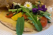 Foraging walk for beginners