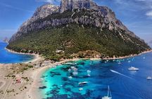 Sailing Tour to Tavolara and Dolphin Search from Golfo Aranci 