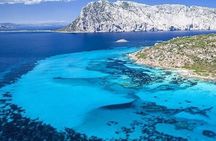 Monomaran Tour in Tavolara and Dolphin Search from Golfo Aranci 