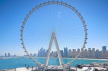 Private Dubai Tour With Dubai Eye Entry