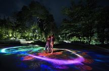 Starry Night Singapore Sentosa Tour with Firework and Light Show