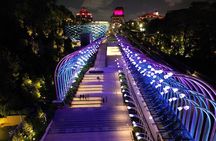 Starry Night Singapore Sentosa Tour with Firework and Light Show