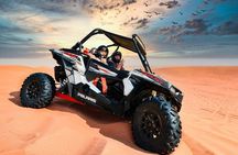 Doha: Half Day Desert Safari with Dune Bashing and Camel Ride 