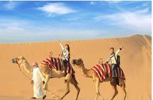 Doha: Half Day Desert Safari with Dune Bashing and Camel Ride 