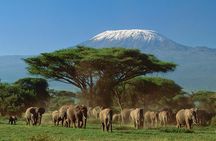 5 days Luxury Safari; Tsavo East, West, and Amboseli from Nairobi