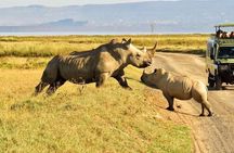 5 days Luxury Safari; Tsavo East, West, and Amboseli from Nairobi