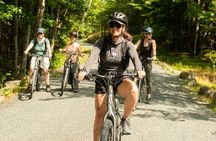 Acadia Full Day Private Hike and Bike