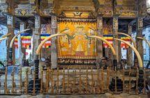 Kandy All Inclusive Day Tour from Colombo