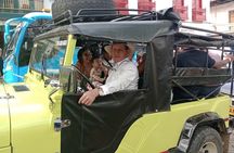 Panoramic Tour