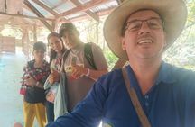 Panoramic Tour