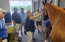 Half-Day Thoroughbred Horse Farm Tour in Kentucky
