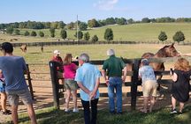 Half-Day Thoroughbred Horse Farm Tour in Kentucky