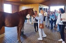Half-Day Thoroughbred Horse Farm Tour in Kentucky
