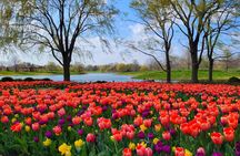 Chicago Hidden Gems! Suburbs Tour