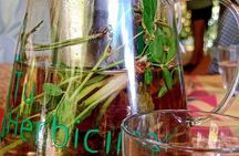 Wild and Medicinal Dominica Private Tour