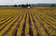 ATV Vineyard Tour and Wine Tasting