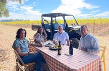 ATV Vineyard Tour and Wine Tasting