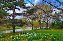 Chicago Hidden Gems! Suburbs Tour