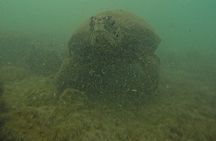 Tour 360 San Cristobal Galapagos