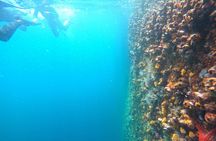Tour 360 San Cristobal Galapagos