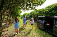 Grenada's tropical adventures island tour discovery