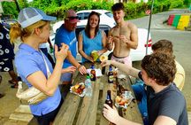 Tropical Adventure, concord falls, monkeys, hot spring mud bath