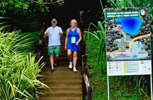 Tropical Adventure, concord falls, monkeys, hot spring mud bath