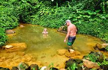 Tropical Adventure, concord falls, monkeys, hot spring mud bath