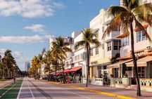 Summer Savings Sale! Explore the Best of Miami in 1 Day Tour