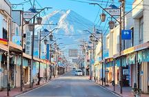 Explore 6 Famous Fuji Attractions in One Day
