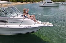 Charter Full day Fajardo to Vieques