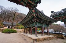 Pohang Best Customized Private Tour with a Tour Guide