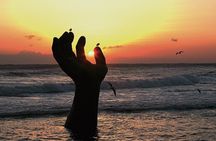 Pohang Best Customized Private Tour with a Tour Guide