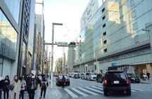 Two Hour Tokyo Tsukishima Ginza and Tsukiji Food and Culture Tour