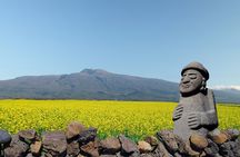 Jeju West and South Canola Flower Guided Tour 