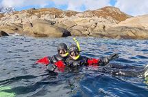 Lofoten Unique Snorkeling Experience in Dry Suit