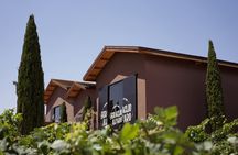 Discover La Rioja: Guided Winery Tour & Wine Tasting