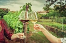 Private Luxury Tour: Ancient Nemea & Top Wine Tasting Experience